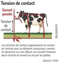 Les tensions de contact apparaissent au contact de l’animal avec un élément conducteur, comme un abreuvoir ou une clôture. Un courant traverse alors l’animal et revient au sol par les pattes. 