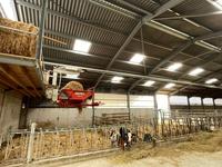 <em class="placeholder"> pailleuse suspendue</em>