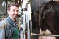 <em class="placeholder">« Un parage annuel des vaches laitières est insuffisant »</em>