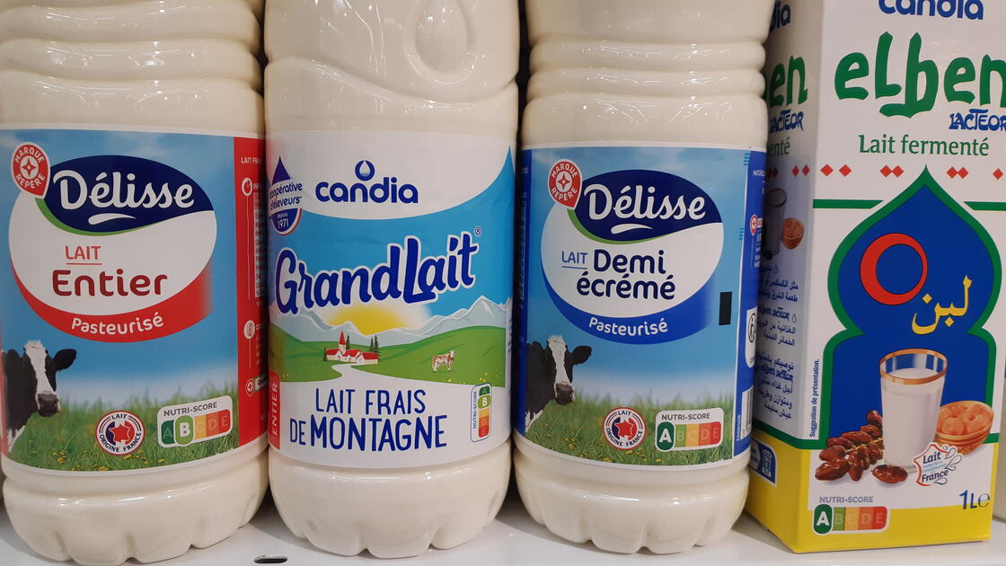 Nutri-Score : Comment sera noté le lait de consommation ? | Réussir lait