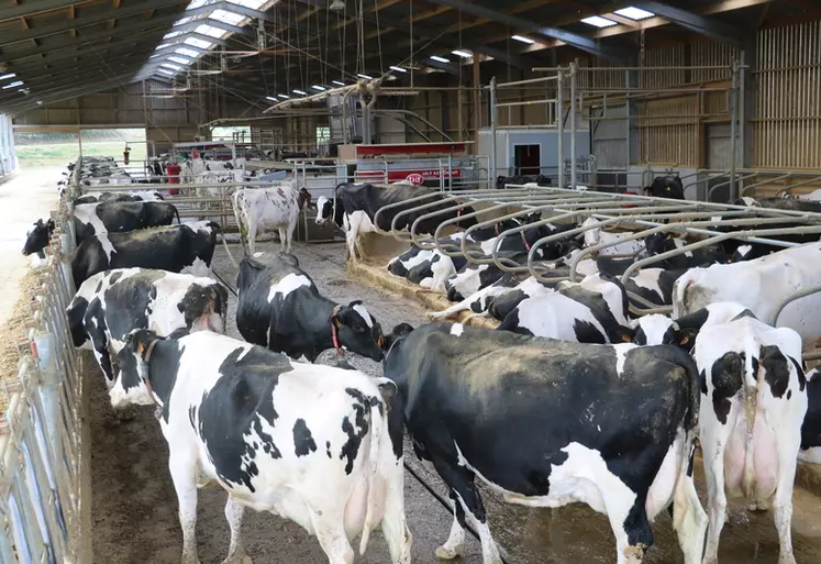 D’après Dairy 4 Future, le système « tout bâtiment » avec des vaches à 10 000 kg de lait permet d’avoir une empreinte carbone équivalente à celle des systèmes pâturants ou mixtes.  
