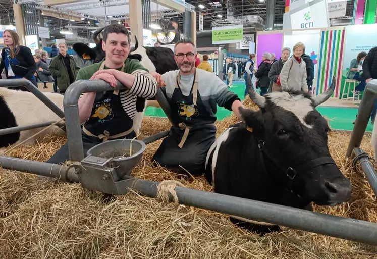 éleveurs bretonne pie noir producteurs gwell