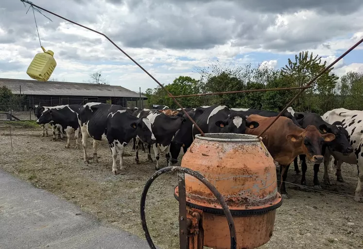 Bétonnière bricolée comme effaroucheur contre les étourneaux pour protéger le silo de maïs.