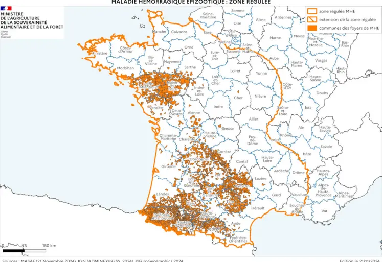 Cartographie de la zone réglementée au titre de la MHE à partir des foyers du sud-ouest, à la date du 21 novembre 2024.