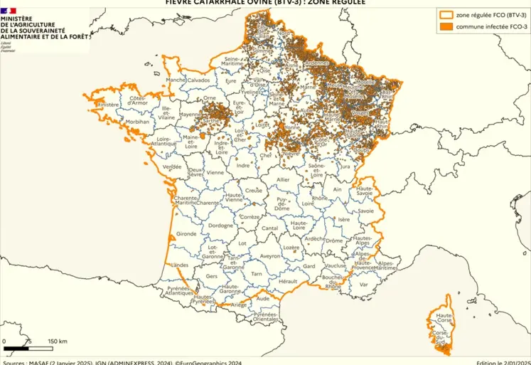 Cartographie de la zone régulée pour la FCO 3, à la date de jeudi 2 janvier 2025.