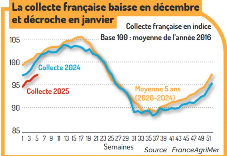 graphique sur l'évolution de la collecte de lait de vache française en 2024 et 2025