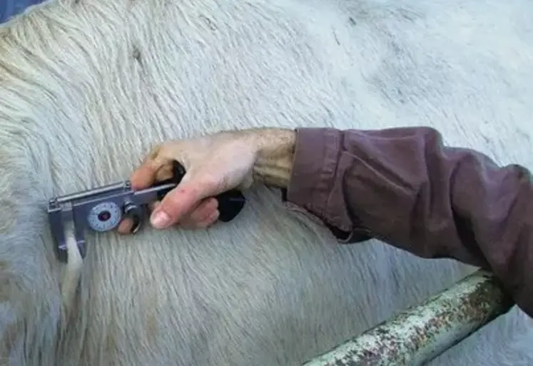 <em class="placeholder">Mesure du pli de peau systématique avec un cutimètre avant l’injection intradermique</em>