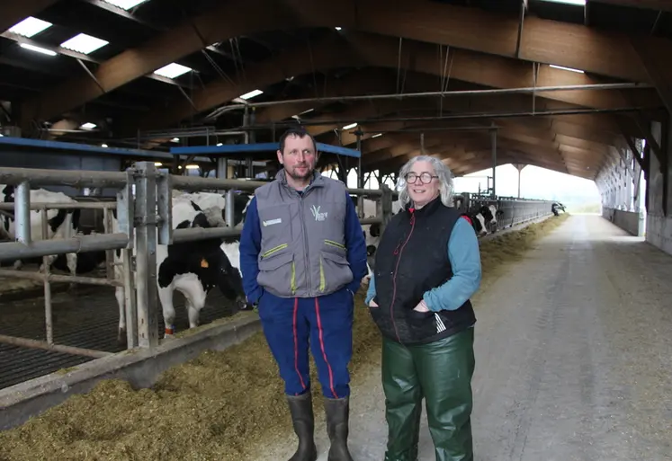 <em class="placeholder">éleveurs laitiers dans leur bâtiment vaches laitières</em>