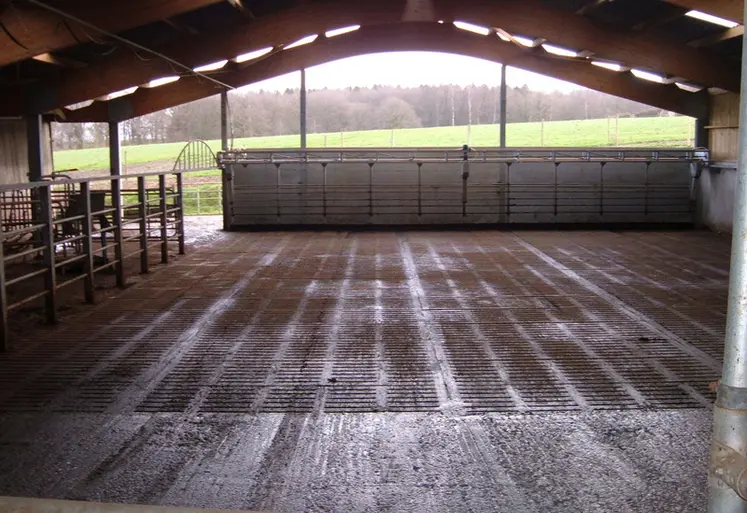 <em class="placeholder">Aire d&#039;attente construite en portique bipente dans un bâtiment pour vaches laitières </em>