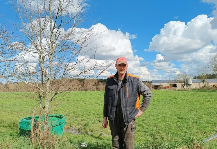 <em class="placeholder">Laurent Terrien éleveur en vendée</em>