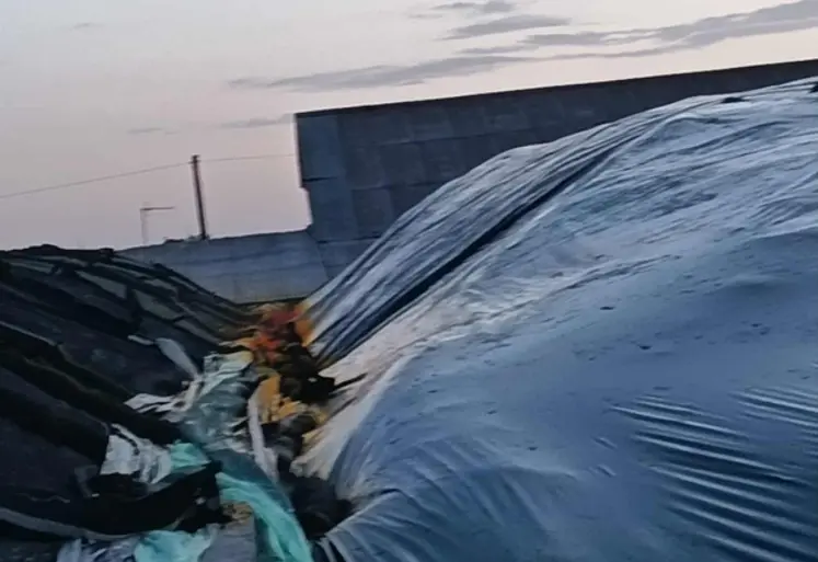 <em class="placeholder">dégagement de gaz toxique au silo</em>