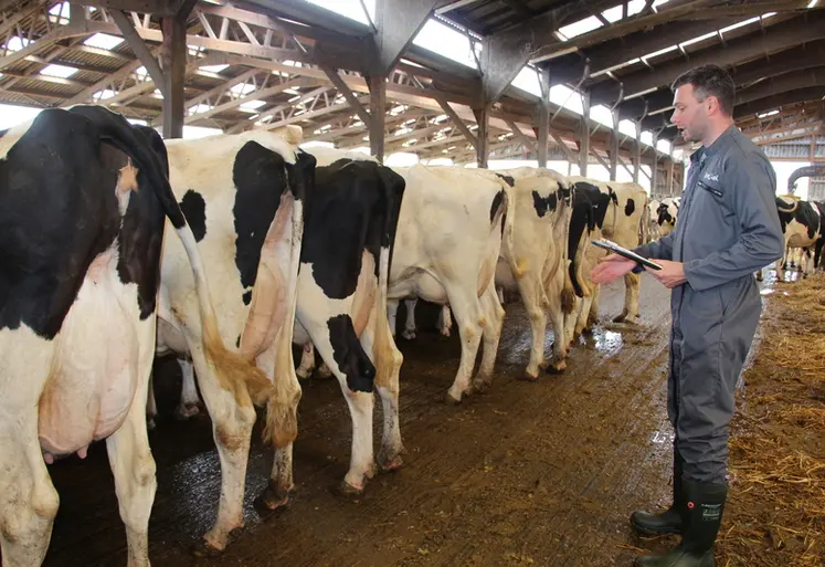 <em class="placeholder">« De 2023 à 2025, la notation des vaches a montré 20% d’amélioration en termes de boiteries, ce qui, à l’échelle du troupeau, représente 6 200 € d’économie ...</em>
