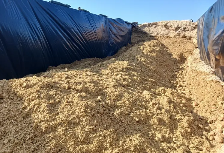 <em class="placeholder">silo betterave maïs</em>