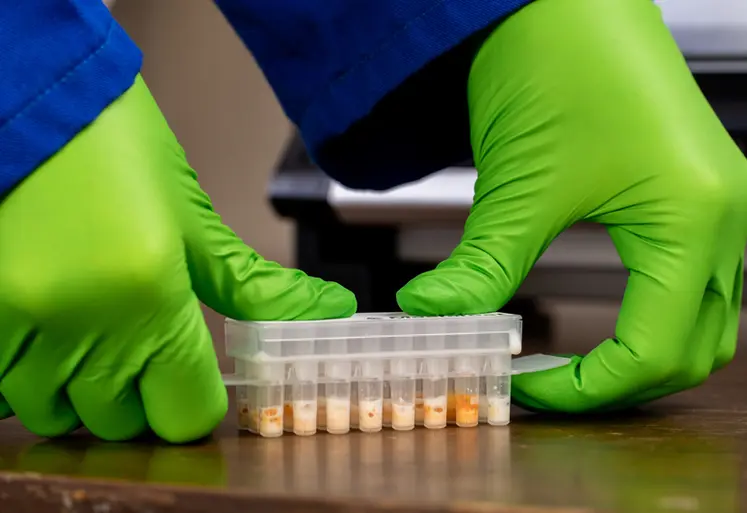 <em class="placeholder">mastatest</em>