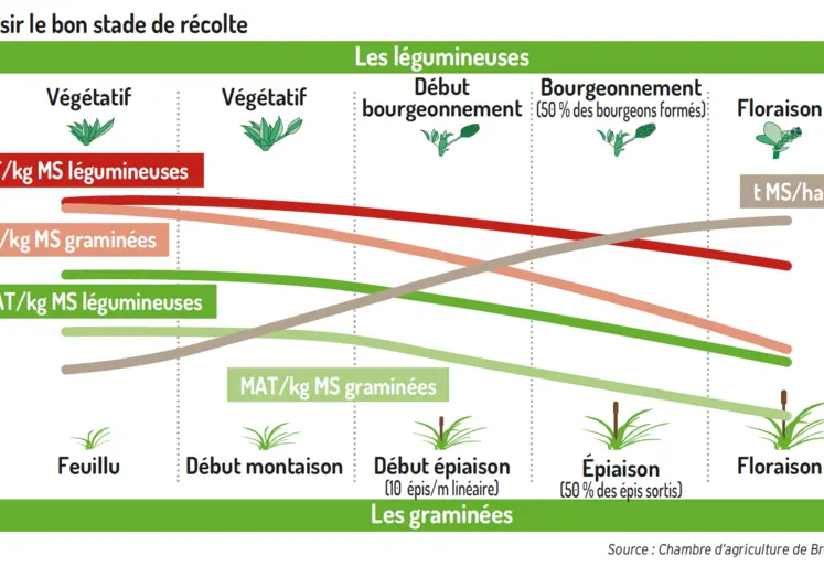 graphique choisir le bon stade de récolte pour les dérobées