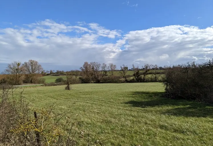 <em class="placeholder">prairie en hiver</em>