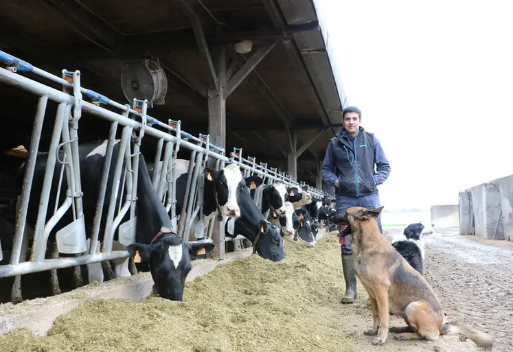 <em class="placeholder">Victor Charles, éleveur de vaches laitières, dans les Deux-Sèvres</em>