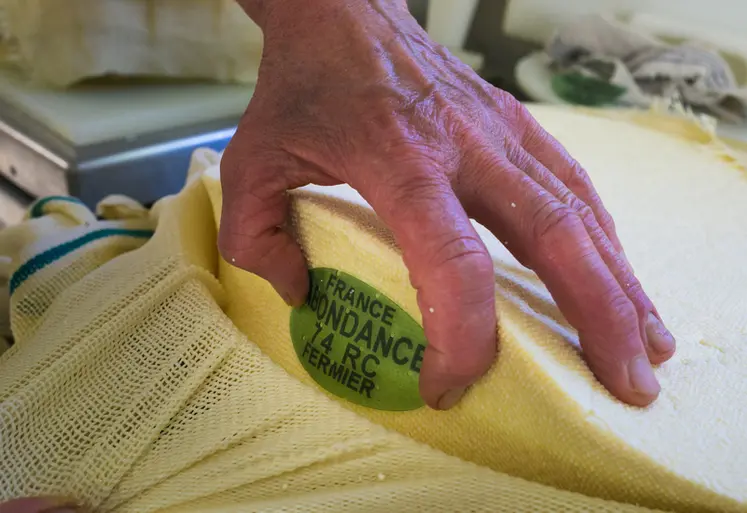 <em class="placeholder">fromage AOP abondance</em>