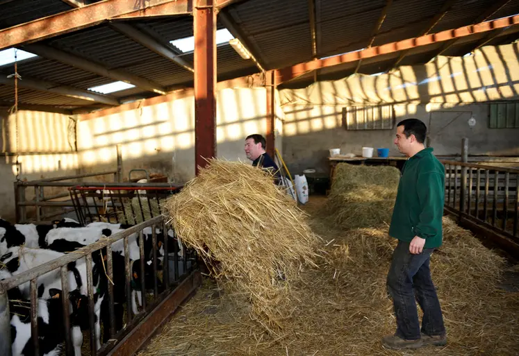 <em class="placeholder">Eleveur donnant les instructions à son salarié. Agriculteur employeur. Transmission des consignes. Discussion. Explication des tâches à accomplir. Emploi en élevage ...</em>