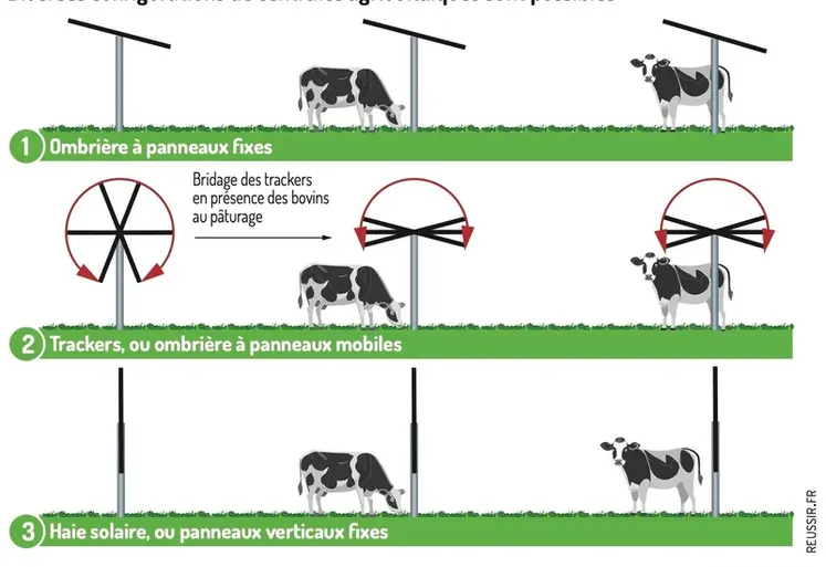 <em class="placeholder">schéma de trois grands types de centrales agrivoltaïques avec des bovins</em>