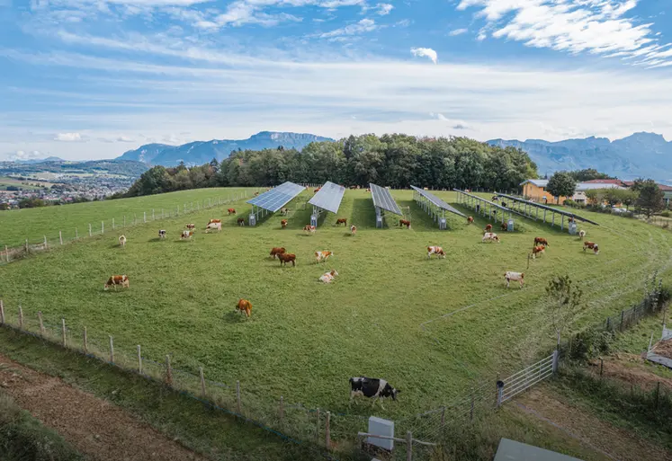 <em class="placeholder">démonstrateur centrale agrivoltaïque Voltalia sur prairie avec des vaches</em>