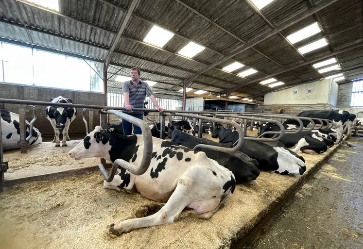 <em class="placeholder">vache couchée dans logette au Gaec de Veline (Meuse)</em>
