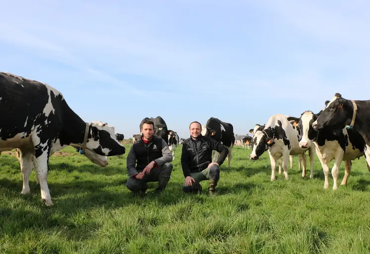 <em class="placeholder">Adrien Jaouen et Nicolas Diverres, éleveurs de vaches laitières dans le Finistère</em>