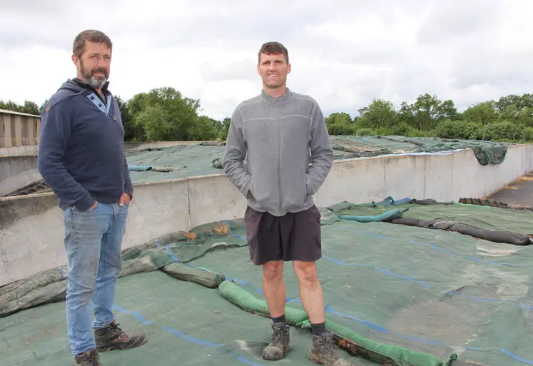 <em class="placeholder">Patrice Guéry (à gauche) et Fabien Guéry ont testé plusieurs espèces et plusieurs mélanges avant de parvenir au mélange actuel qui leur donne satisfaction.</em>