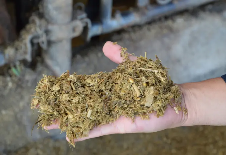 <em class="placeholder">poignée d'ensilage de maïs</em>