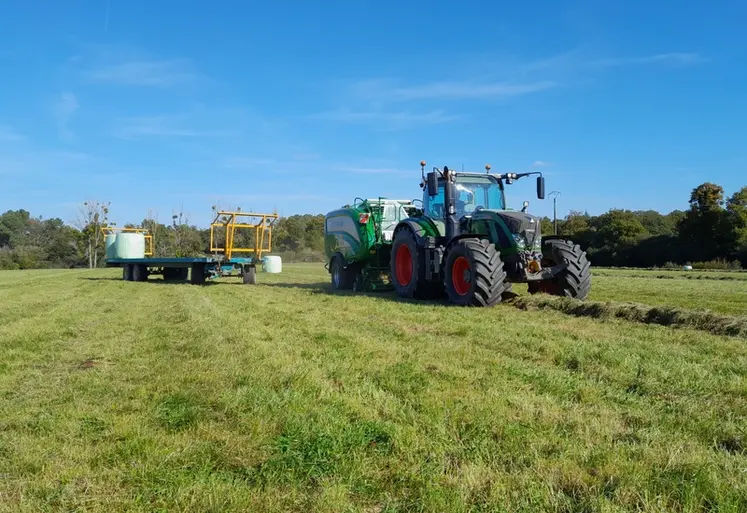 <em class="placeholder">récolte d'herbe d'automne</em>
