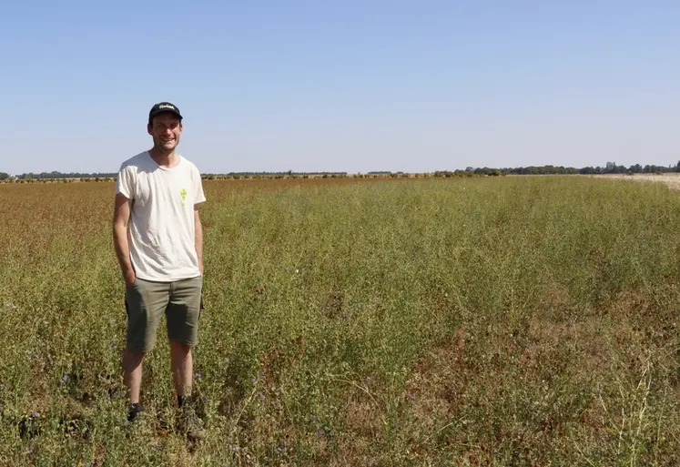 <em class="placeholder">Joris Soenen, éleveur laitier dans une prairie dans laquelle du stock sur pied a été réalisé</em>