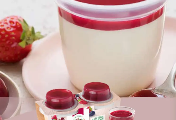 <em class="placeholder">panna cotta de marque Rians</em>