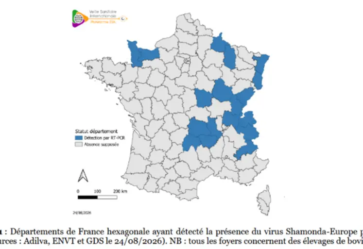<em class="placeholder">carte des départements  de  France ayant  détecté la  présence du virus Shamonda-Europe  par  RT-PCR au 24 août 2026.</em>