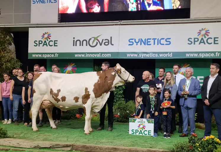 Rihanna, une vache de race montbéliarde, élue Championne suprême du Space 2026
