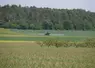 traitement pulvérisateur dans un champ 