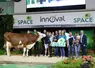 Madison, vache montbéliarde sur le podium du Space 2023