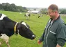 Eleveur laitier avec une vache dans une prairie 