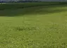 Une prairie de fauche en Normandie, en juillet