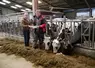 éleveurs devant vaches laitières cornadis mycotoxines