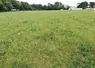 Prairie après récolte de méteil ensilage