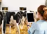 Outils numériques : des projets prometteurs en santé animale à moyen terme