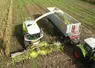 Ensileuse munie d' un bec à maïs rotatif. Récolte du maïs ensilage.