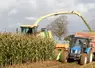 <em class="placeholder">Chantier d&#039;ensilage de maïs</em>