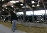 <em class="placeholder">Robin Marie, éleveur de vaches laitières dans la Manche</em>