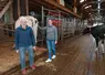 <em class="placeholder">vache hésite à aller au robot</em>