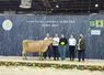 Grande championne : Royale (VJ Higher) de la SCEA Gaborit (49)