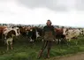 <em class="placeholder">Matthieu Caugant, éleveur dans le Finistère, devant ses vaches laitières</em>