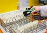 <em class="placeholder">enregistrement des échantillons de lait au laboratoire interprofessionnel </em>