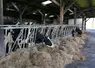 <em class="placeholder">stabulation de la ferme expérimentale à Derval</em>