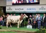 Rihanna, une vache de race montbéliarde, élue Championne suprême du Space 2026